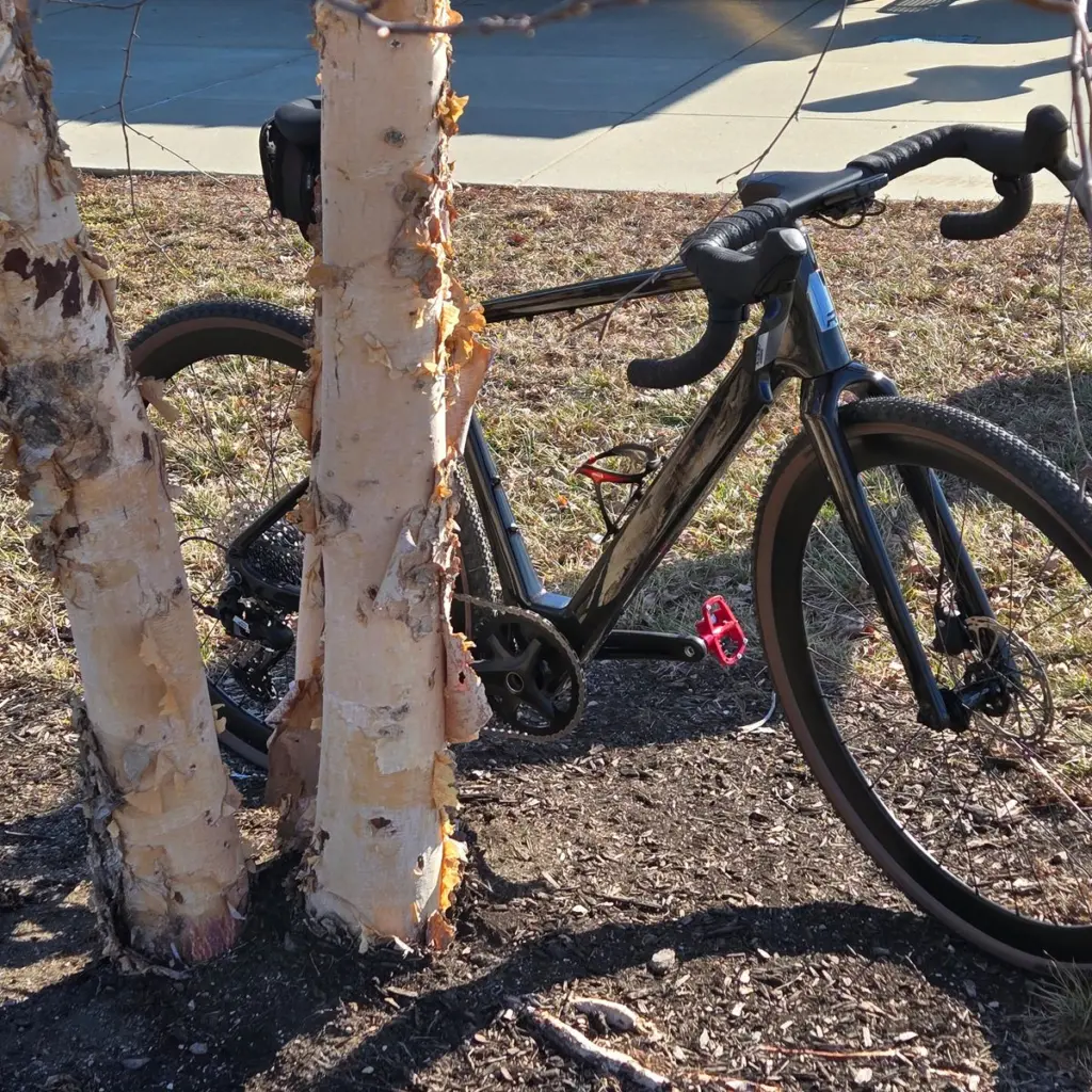 Image #2 from Manish Suthar